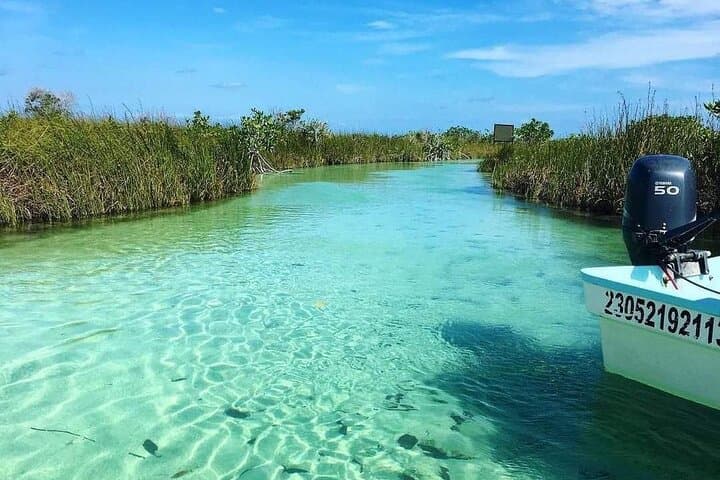 Sian Ka'an Lagoon & Corazon del Paraiso Cenote: Half‑Day Boat Tour from Tulum photo 2