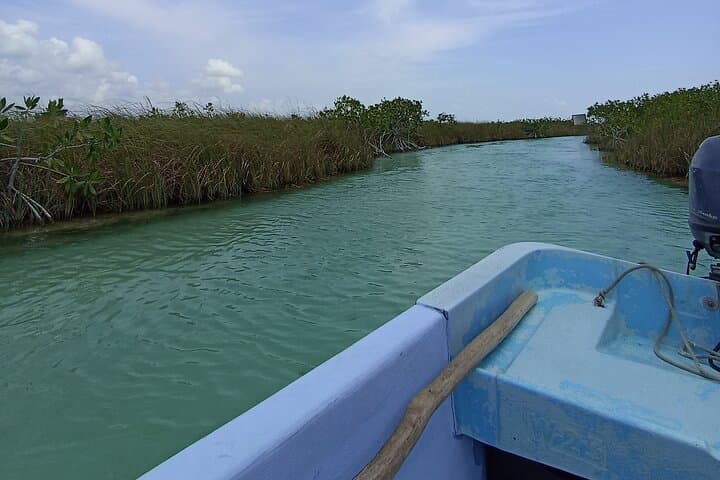 Sian Ka'an Lagoon & Corazon del Paraiso Cenote: Half‑Day Boat Tour from Tulum photo 3
