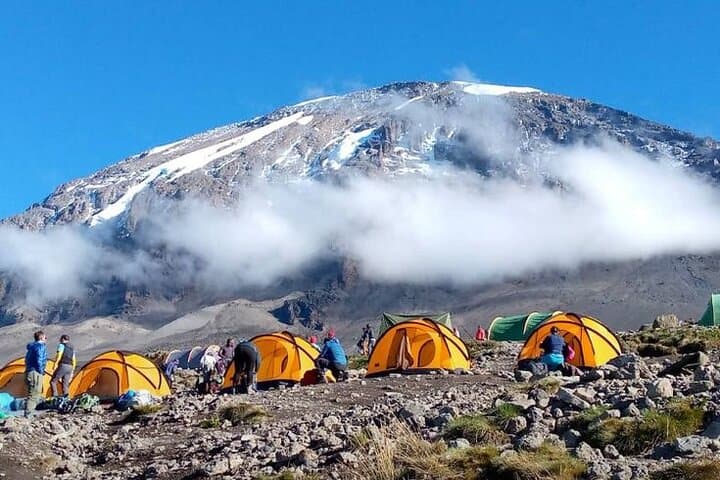 8-Day Mount Kilimanjaro Lemosho Route — Private Guided Trek to Uhuru Peak photo 2