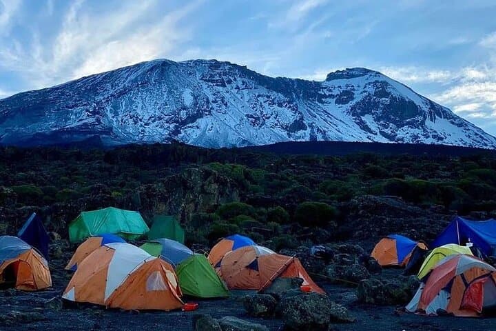 8-Day Mount Kilimanjaro Lemosho Route — Private Guided Trek to Uhuru Peak photo 3