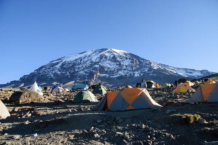 8-Day Mount Kilimanjaro Lemosho Route — Private Guided Trek to Uhuru Peak photo 6