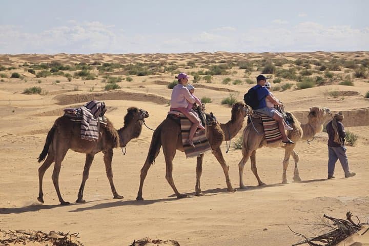 Ksar Ghilane Desert Oasis Day Tour — Swim, Walk Dunes & Explore Ksar Hallouf photo 5