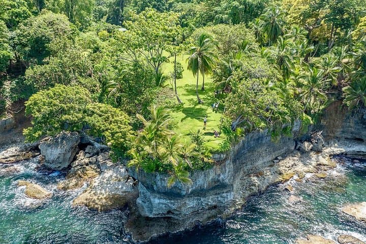 Explore Punta Mona: Manzanillo Jungle Hike to Secret Beaches in Gandoca-Manzanillo photo 4