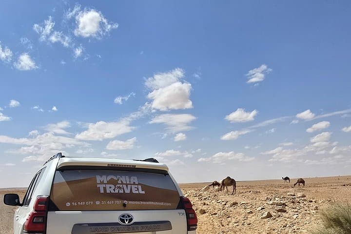 Ksar Ghilane Desert Oasis Day Tour — Swim, Walk Dunes & Explore Ksar Hallouf photo 3