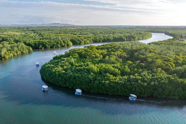 Self-Drive Eco-Electric BBQ eBoat Cruise from Port Denarau, Fiji photo 4