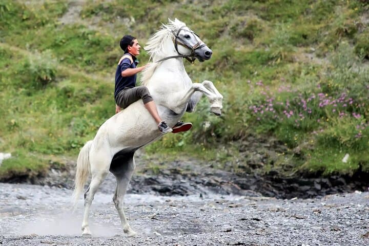 Ride the Ancient Horse Migration: Tusheti to Vashlovani 260 km