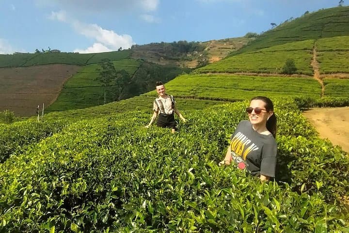 Kandy to Nuwara Eliya Day Trip: Tea Plantations, Ramboda Falls & Gregory Lake photo 1
