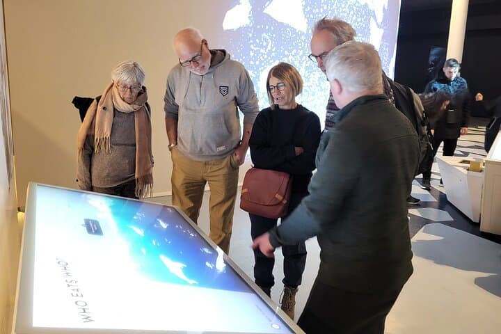 Guided Polar Bear Walk in Tromsø: Polaria & Polar Museum Tour photo 2