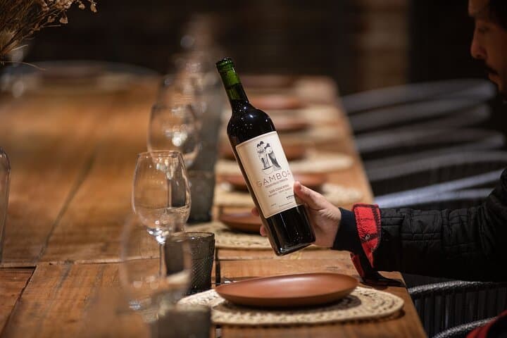 Bodega Gamboa Wine Tasting and Gourmet Lunch — Small-Group Day Trip from Buenos Aires photo 2