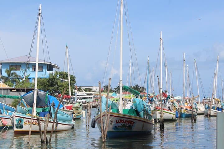 TukTuk Belize City: History, Museums & Rum Tasting Tour photo 2