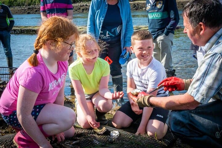 Hands-On Oyster Farm Tour and Tasting on Clew Bay (County Mayo) photo 4