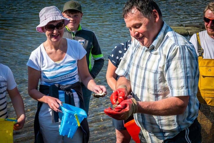 Hands-On Oyster Farm Tour and Tasting on Clew Bay (County Mayo) photo 5
