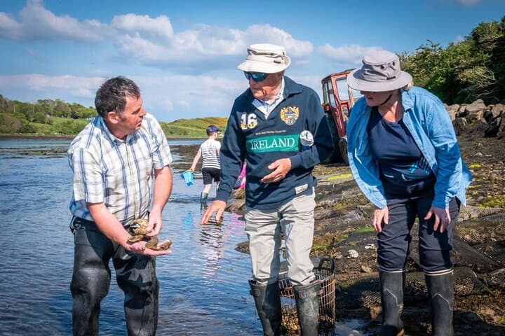 Hands-On Oyster Farm Tour and Tasting on Clew Bay (County Mayo) photo 3