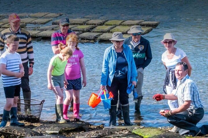 Hands-On Oyster Farm Tour and Tasting on Clew Bay (County Mayo) photo 6