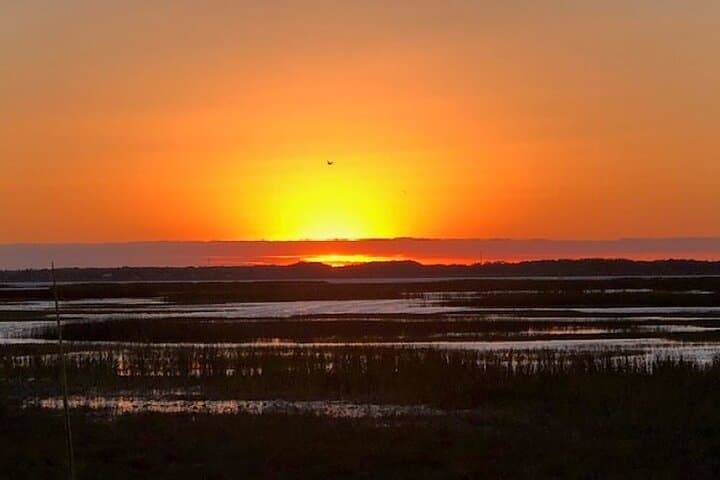 Sunset Airboat Tour on Lake Tohopekaliga: Wildlife & Golden-Hour Glide