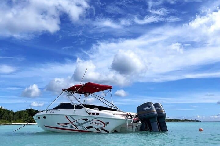 Sail Saona in Style: BRYMAR VIP Bayahibe Catamaran Tour