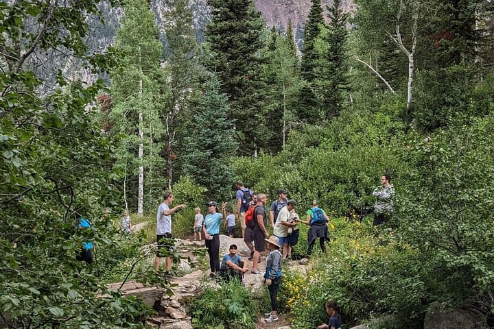 Guided Hike in Big Cottonwood Canyon with Charcuterie — 3‑Hour Wasatch Escape