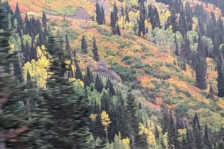 Guided Hike in Big Cottonwood Canyon with Charcuterie — 3‑Hour Wasatch Escape photo 3