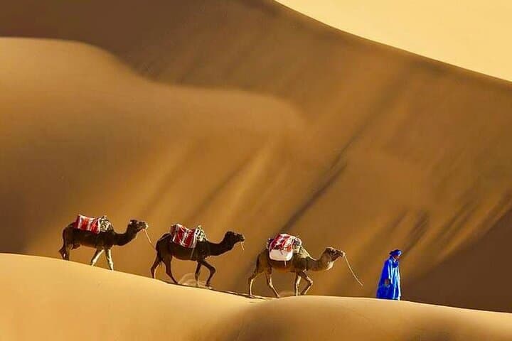 8-Day Morocco Tour: Marrakech to Casablanca Adventure photo 3