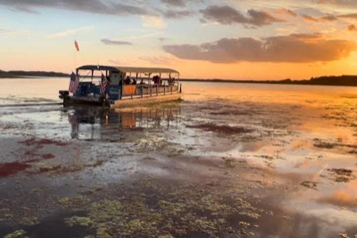 Orlando 1-Hour Eco Adventure: Scenic Wildlife Boat Cruise photo 1