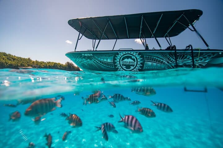 Bora Bora Full-Day Eco Snorkel and Motu BBQ Lunch photo 3