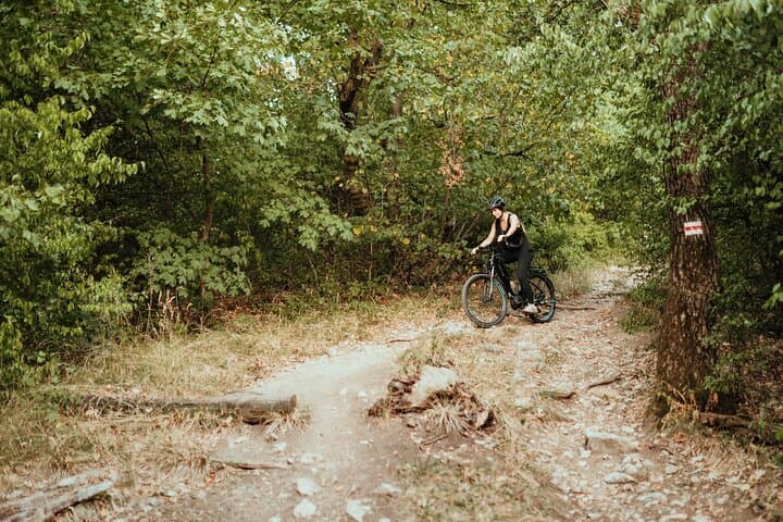 E‑Bike Adventure in Budapest’s Buda Hills — Elizabeth Lookout & Normafa photo 5