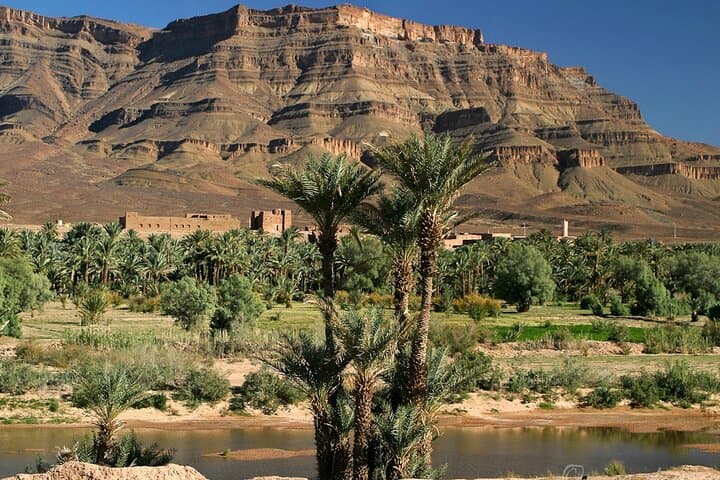 Zagora Desert: 2-Day Camel Bivouac from Marrakech photo 2