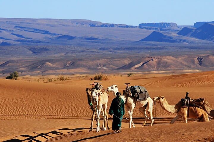 Zagora Desert: 2-Day Camel Bivouac from Marrakech