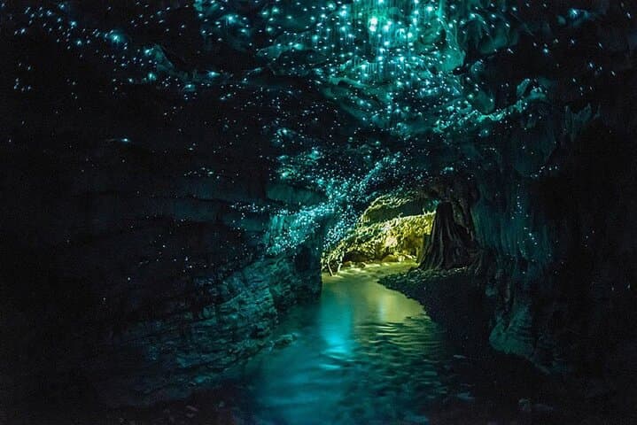 Private Hobbiton & Waitomo Glowworm Caves Day Tour from Auckland photo 6