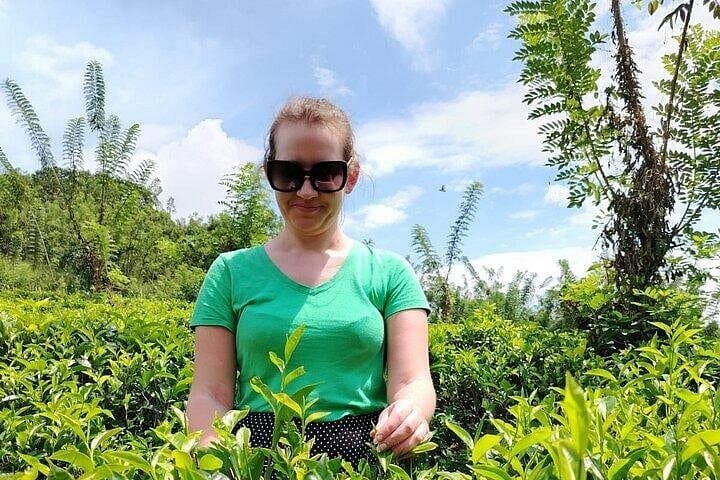 Kandy to Nuwara Eliya Day Trip: Tea Plantations, Ramboda Falls & Gregory Lake photo 2