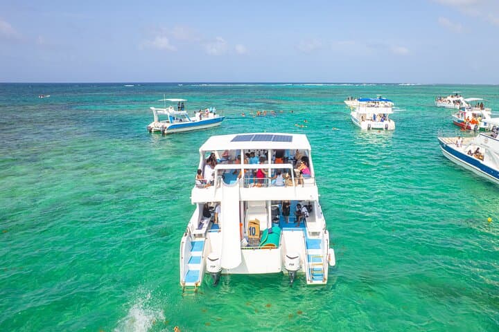 Punta Cana Private Catamaran Snorkel — Swim with Sharks & Stingrays photo 2