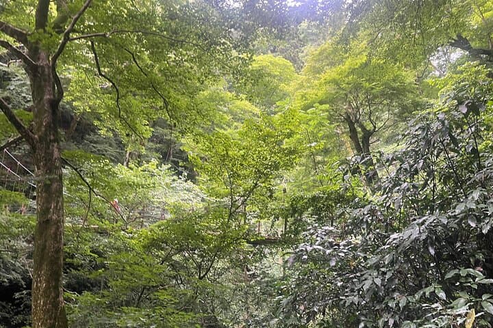 Mt. Takao Day Hike from Tokyo: Yakuoin Temple, Monkey Park & Cable Car photo 2