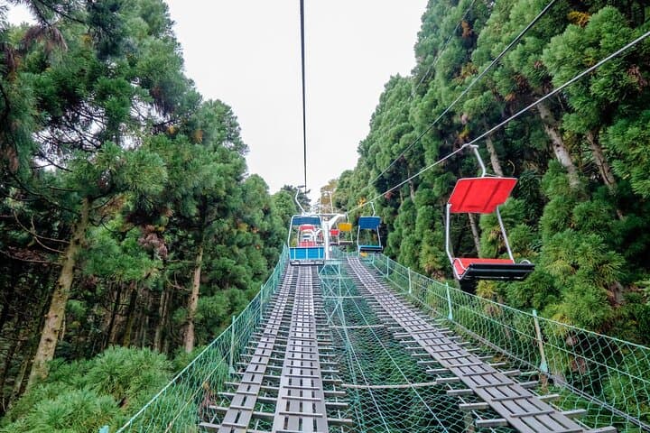 Mt. Takao Day Hike from Tokyo: Yakuoin Temple, Monkey Park & Cable Car photo 3