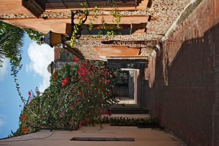 Full-Day Santo Domingo Cultural Tour from Punta Cana: 3 Ojos, Alcazar & Local Lunch photo 6