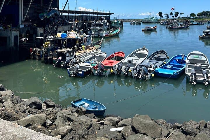 Scooter the Shoreline: Amador Causeway + Casco Viejo Panama Tour photo 2
