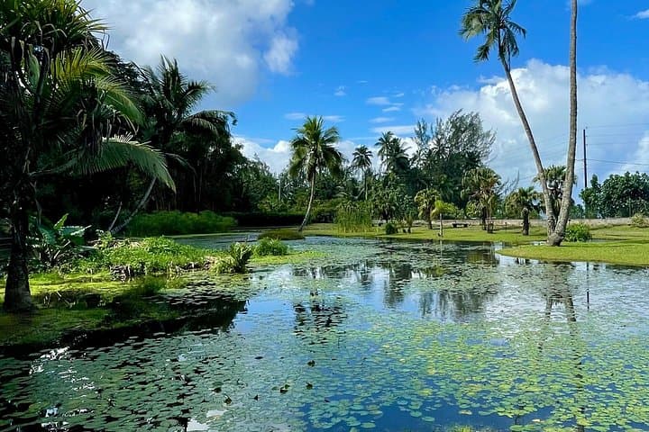 TiTi's Tahiti Full-Day Island Tour — Beaches, Marae & Waterfalls photo 3