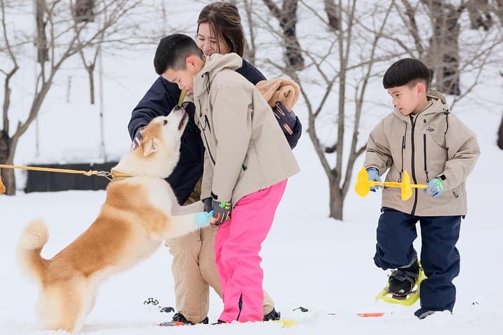 Snowshoeing with an Akita Dog: Yuzawa Winter Park Two-Day Experience