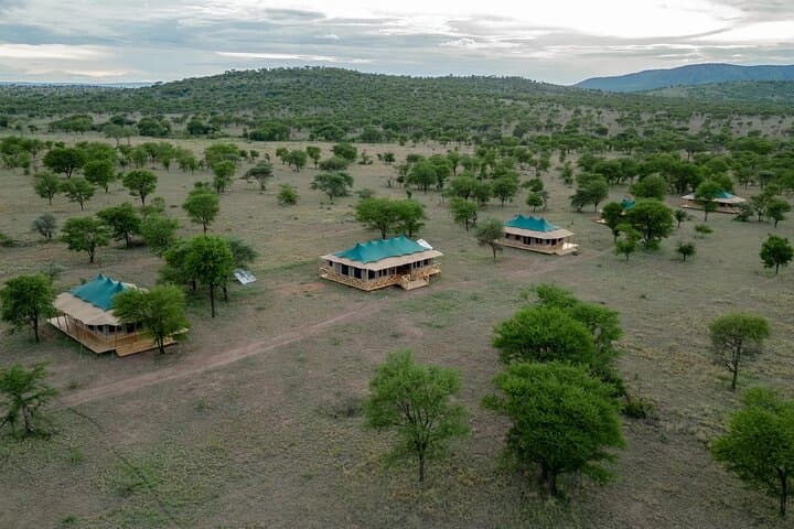 3-Day Serengeti & Ngorongoro Crater Wildlife Safari: Big Cats, Great Migration & Crater Game Drives photo 3