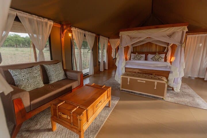 3-Day Serengeti & Ngorongoro Crater Wildlife Safari: Big Cats, Great Migration & Crater Game Drives photo 4