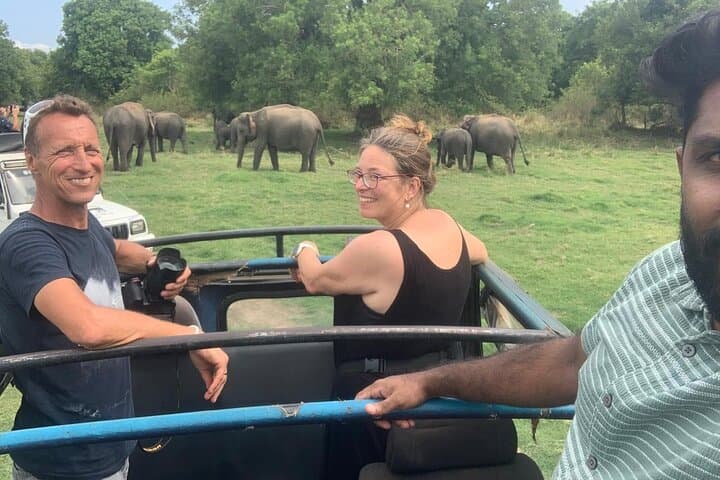 Anuradhapura to Wilpattu: Private Day Tour from Dambulla — Ancient Temples and Leopard Safari photo 2