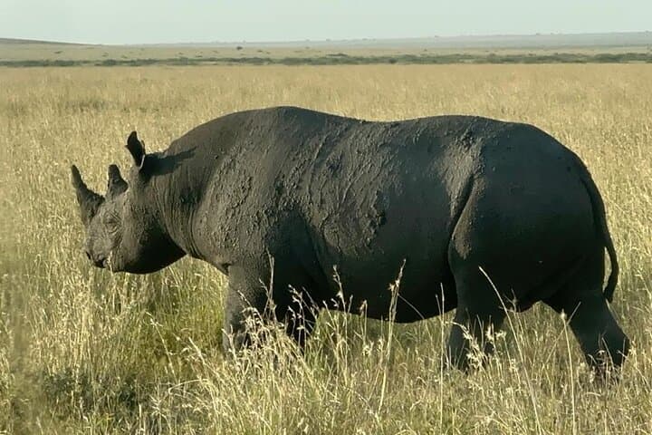 Private Serengeti & Ngorongoro: 5-Day Big Five Expedition from Arusha photo 4