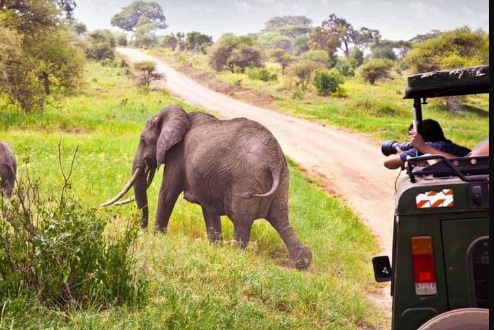 3-Day Safari from Durban to Hluhluwe & iSimangaliso: Big Five, Hippos & Cape Vidal photo 4