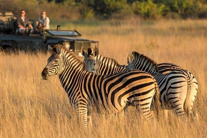 3-Day Safari from Durban to Hluhluwe & iSimangaliso: Big Five, Hippos & Cape Vidal photo 6