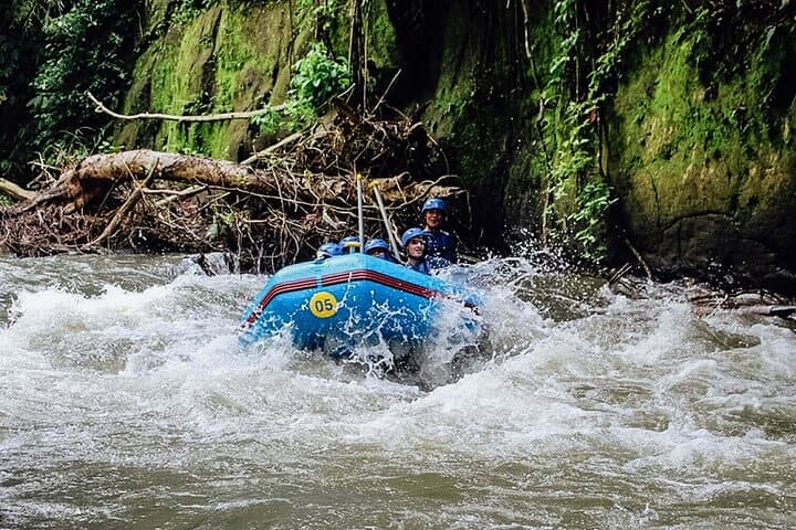 Ayung River White-Water Rafting & Ubud Highlights — Full-Day Tour with Transfers photo 5