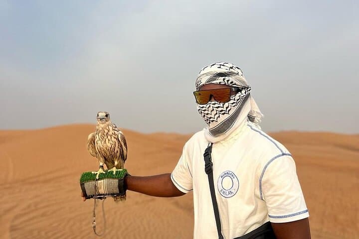 Dubai Red Dune Desert Safari: Evening Dune Bashing, Camel Rides & BBQ Experience