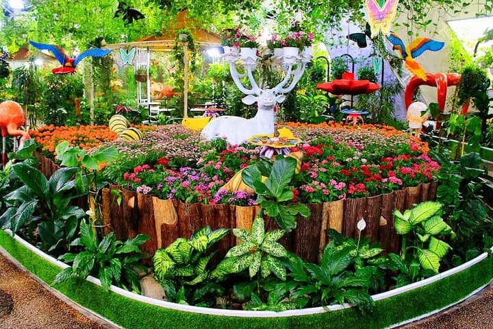 Inside Dubai Butterfly Garden: Explore 15,000 Butterflies in 10 Climate-Controlled Domes photo 2