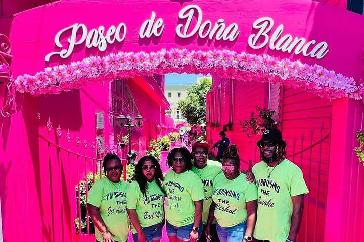 From Victorian Streets to 7 Natural Slides — Damajagua Waterfalls & Puerto Plata City Combo photo 4