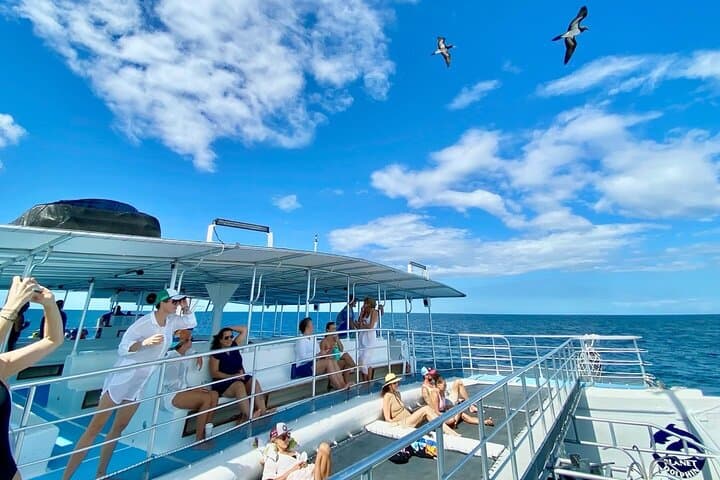 Tamarindo Sunset Catamaran: Snorkel with Dolphins, Turtles & Open-Bar Cruise photo 3