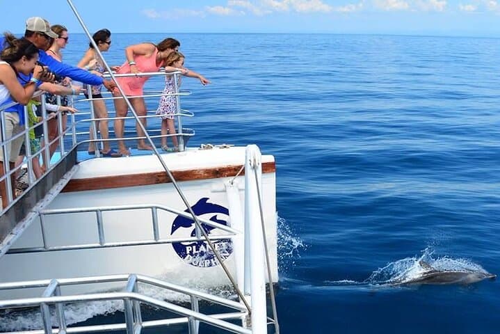 Tamarindo Sunset Catamaran: Snorkel with Dolphins, Turtles & Open-Bar Cruise photo 4