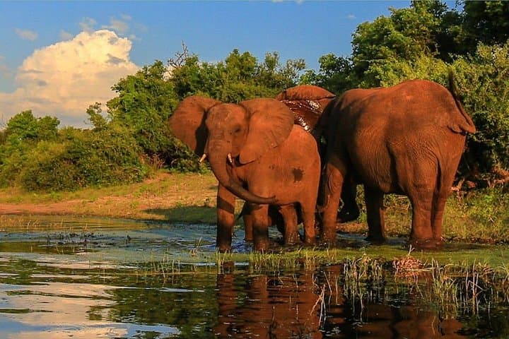 Garden Route 3-Day Adventure: Caves, Safari, Hikes & Wine Tasting photo 3